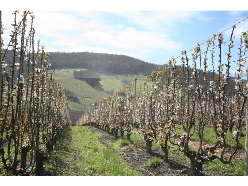 7891 Channel Highway, Cygnet TAS 7112