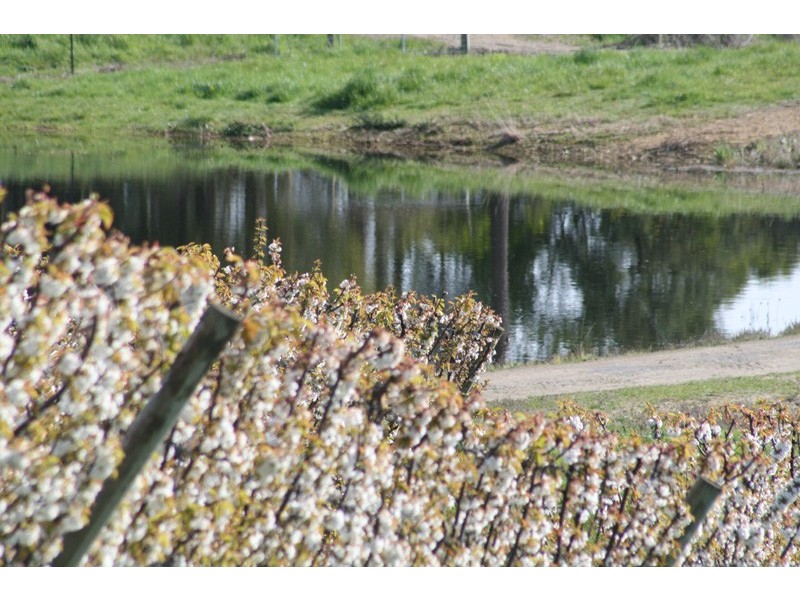 7891 Channel Highway, Cygnet TAS 7112