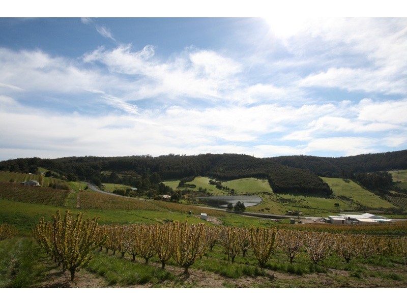 7891 Channel Highway, Cygnet TAS 7112