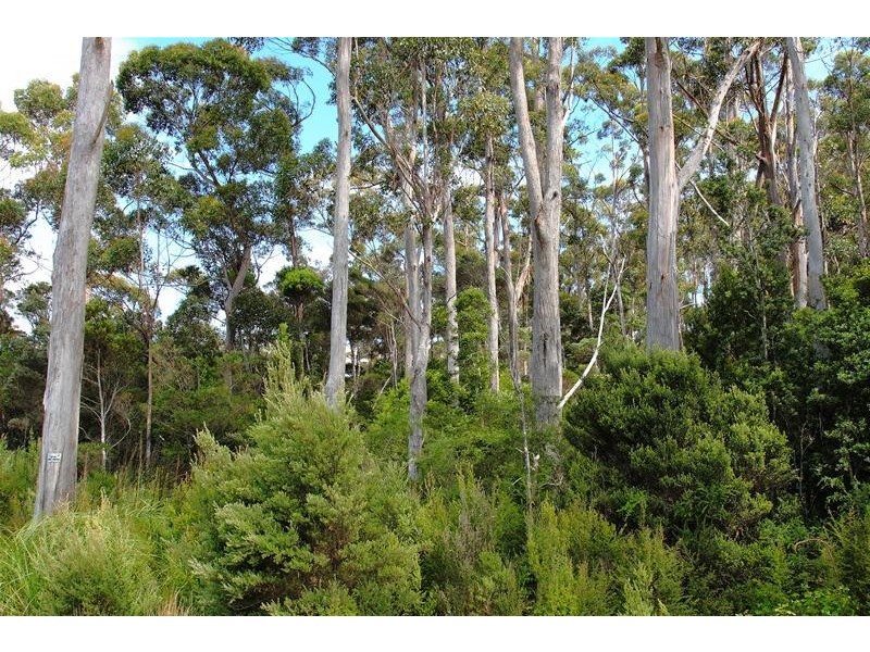 1 Cockle Creek Road, Recherche TAS 7109