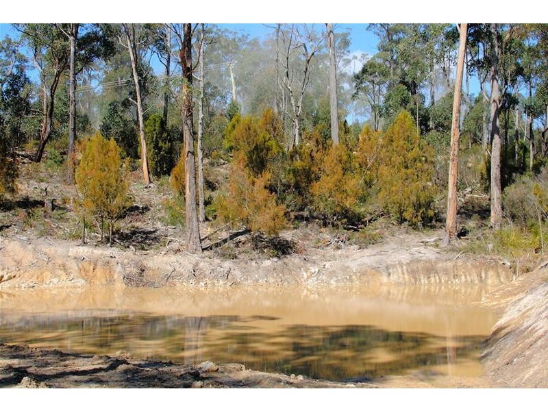 1 Denison Road, Lonnavale TAS 7109