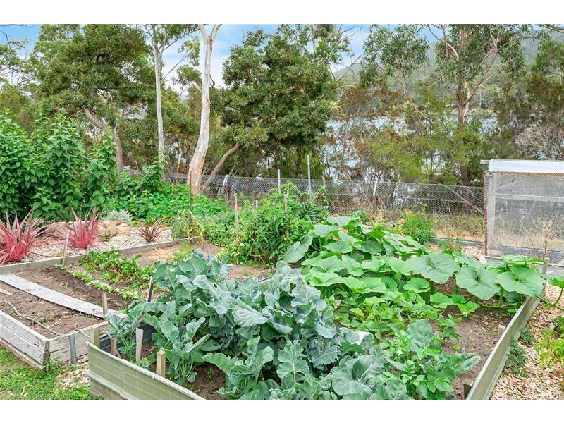 26 Charlotte Cove Road, Charlotte Cove TAS 7112