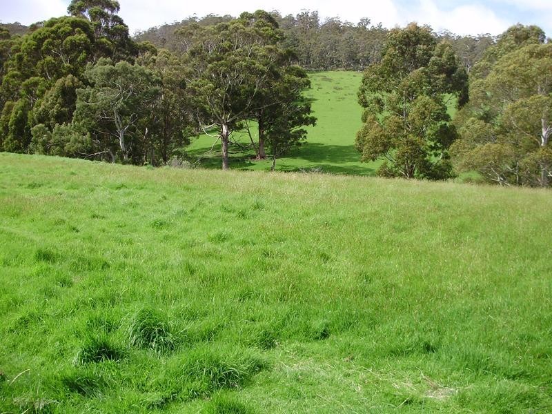 1 Wylies Road, Cygnet TAS 7112