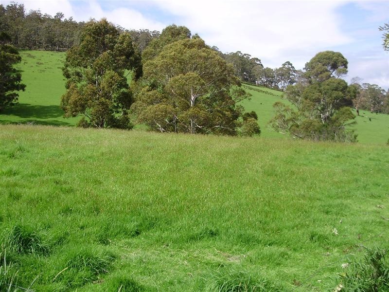 1 Wylies Road, Cygnet TAS 7112