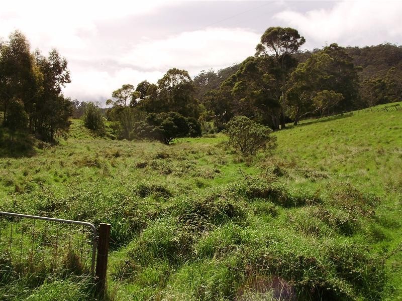 1 Wylies Road, Cygnet TAS 7112