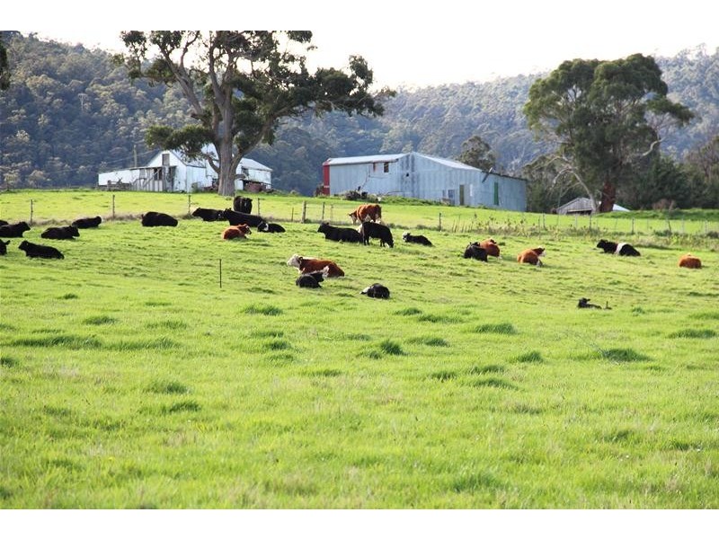 (6 Lots) Thorpe Street, Cygnet TAS 7112