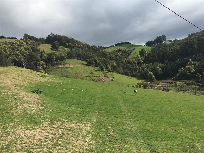 Lot 1 Golden Valley  Road, Cygnet TAS 7112