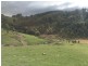 Lot 1 Golden Valley  Road, Cygnet TAS 7112