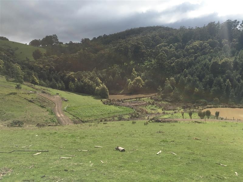 Lot 1 Golden Valley  Road, Cygnet TAS 7112