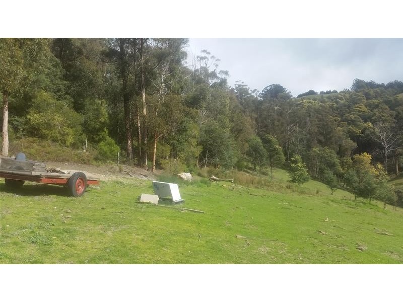 Lot 1 Golden Valley  Road, Cygnet TAS 7112