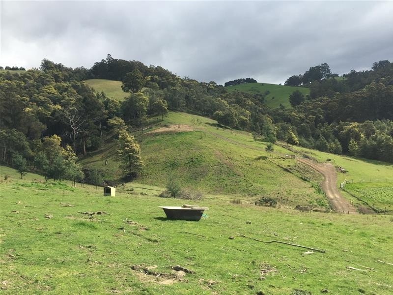 Lot 1 Golden Valley  Road, Cygnet TAS 7112
