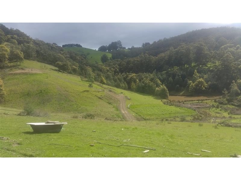 Lot 1 Golden Valley  Road, Cygnet TAS 7112