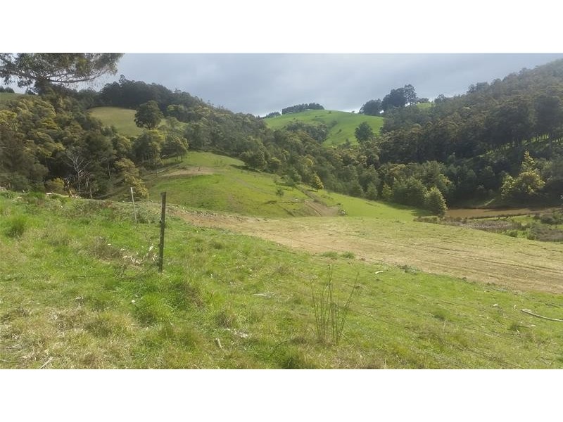 Lot 1 Golden Valley  Road, Cygnet TAS 7112