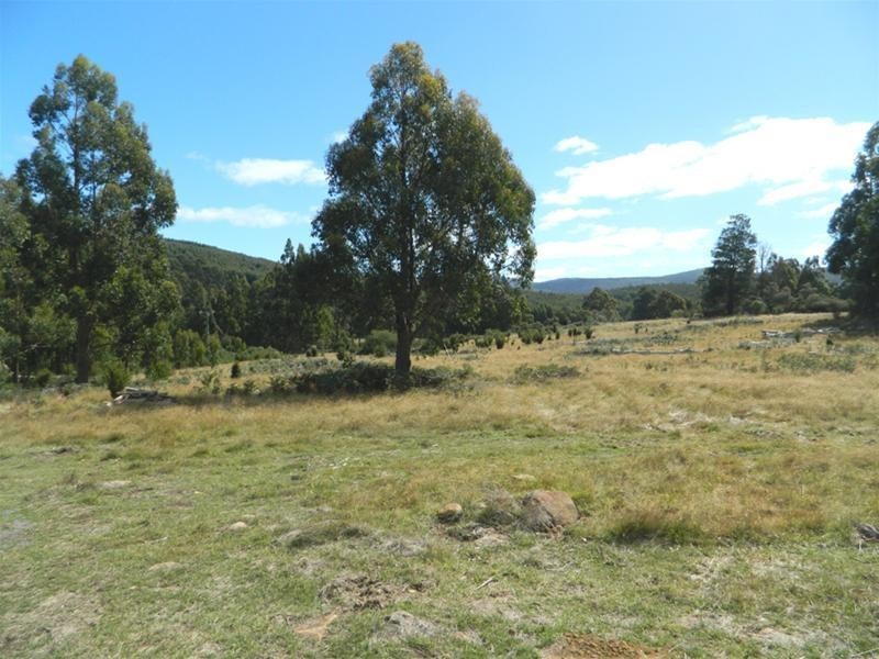 372 Harwoods Road, Castle Forbes Bay TAS 7116