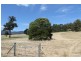 78 Mountain River Road, Grove TAS 7109