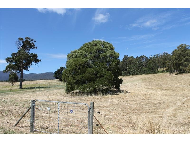 78 Mountain River Road, Grove TAS 7109