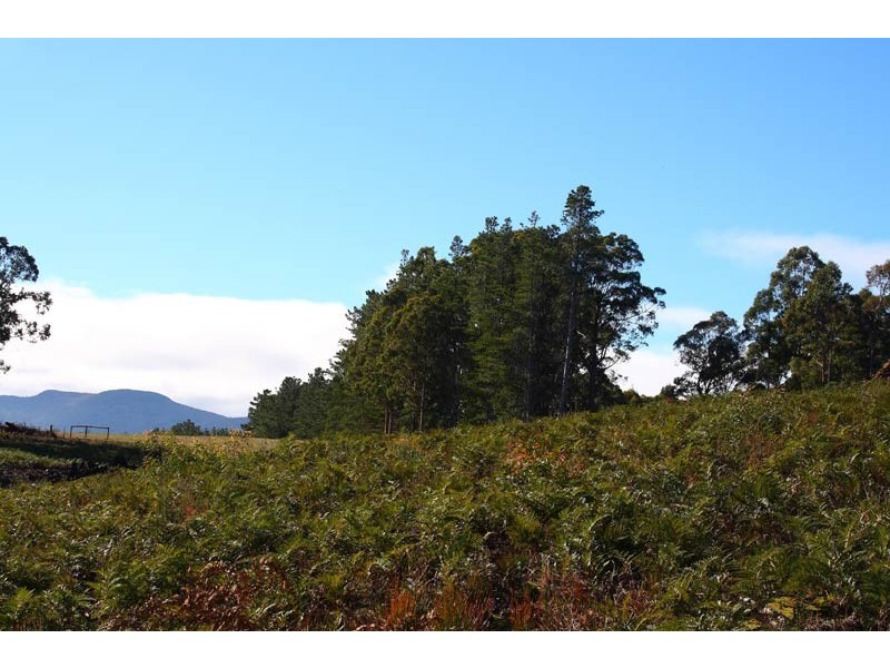 LOT 3 Cygnet Coast Road, Cradoc TAS 7109
