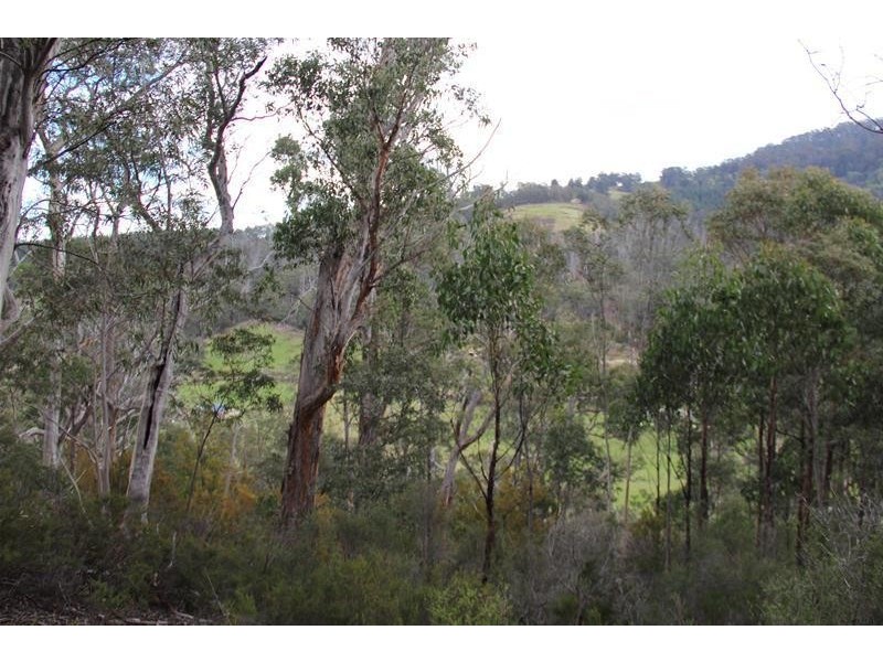 Browns Road, Ranelagh TAS 7109