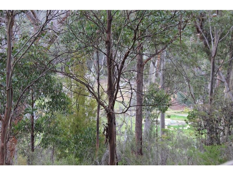 Browns Road, Ranelagh TAS 7109