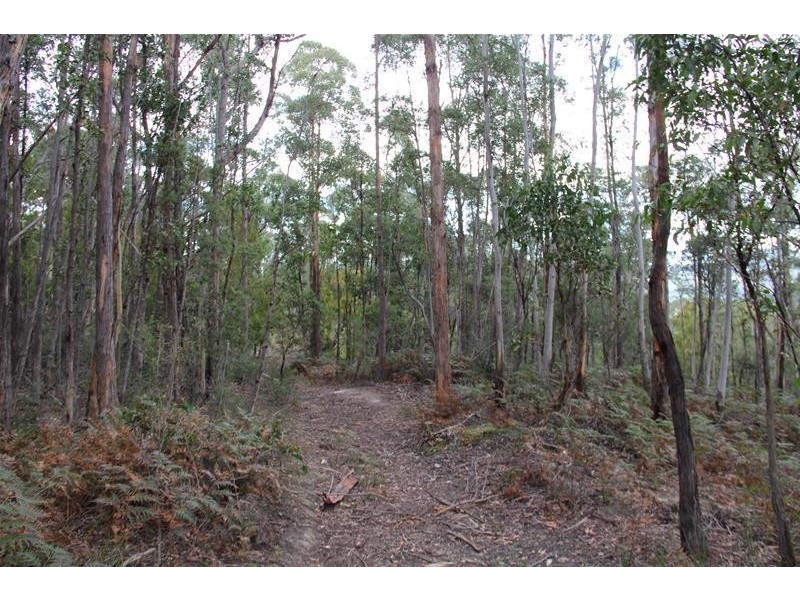 Browns Road, Ranelagh TAS 7109