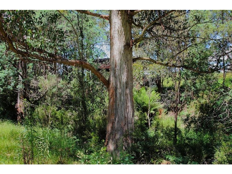 lot 2 Crabtree Road, Crabtree TAS 7109