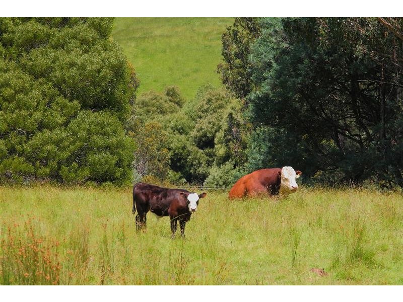 lot 2 Crabtree Road, Crabtree TAS 7109