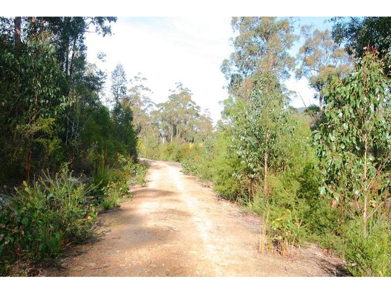 Lots 3 & 5 Bakers Creek Road, Lucaston TAS 7109
