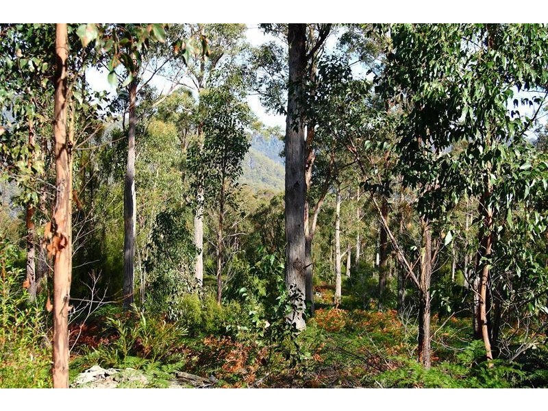 Lots 3 & 5 Bakers Creek Road, Lucaston TAS 7109