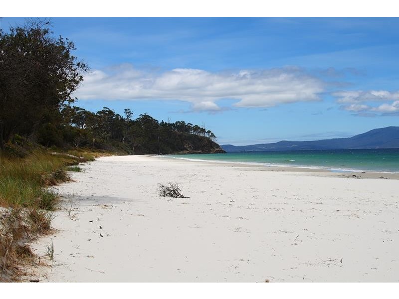 66 Dunn Drive, Surveyors Bay TAS 7116