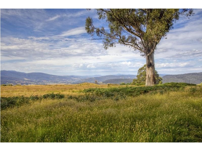 296 Cloverside Road, Lucaston TAS 7109