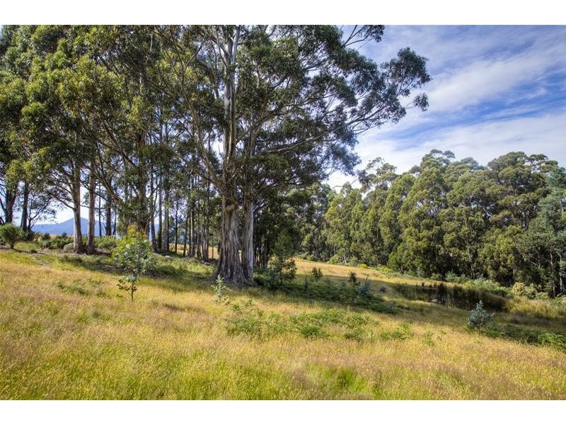 296 Cloverside Road, Lucaston TAS 7109