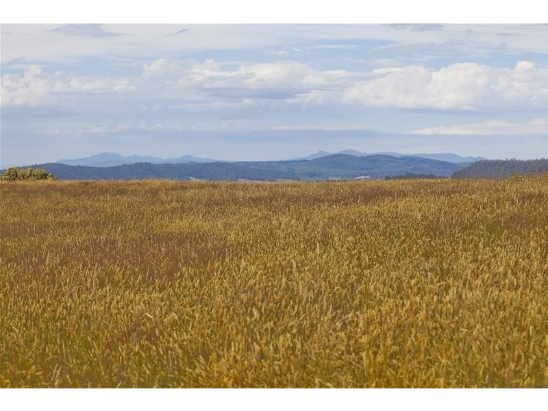 296 Cloverside Road, Lucaston TAS 7109