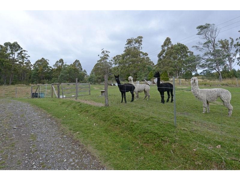 220 Hastings Cave Road, Hastings TAS 7109