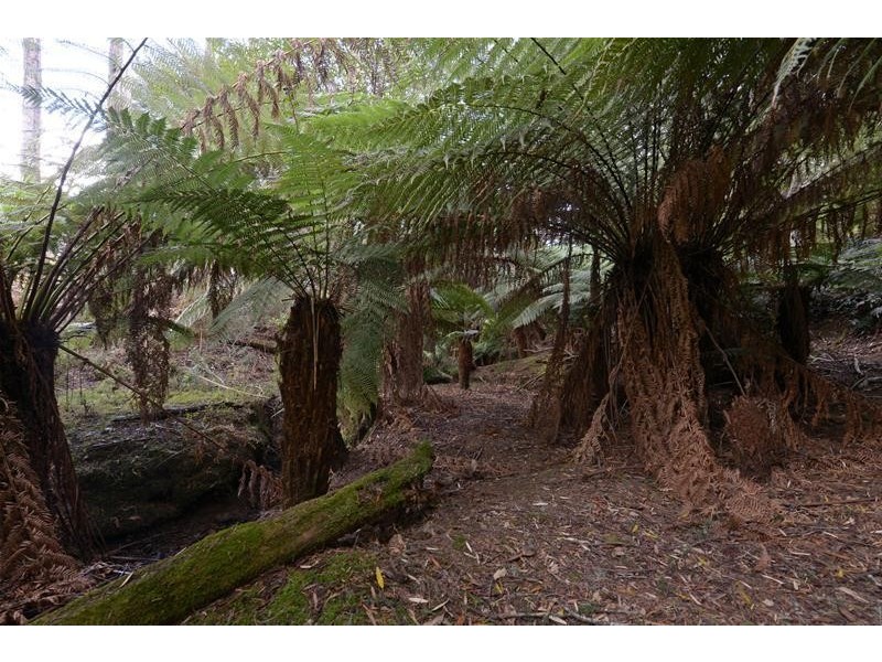 220 Hastings Cave Road, Hastings TAS 7109