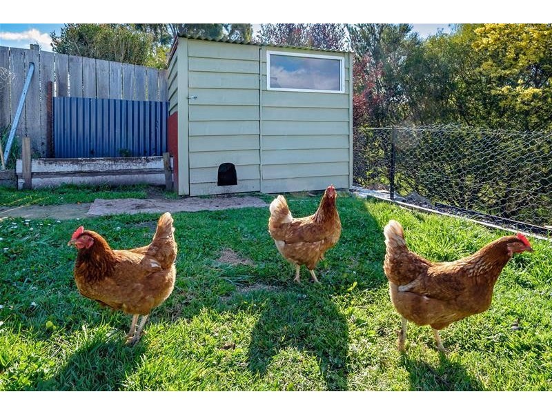 12 Rothwell Street, Dover TAS 7117