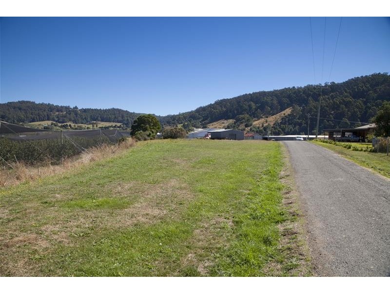 3 Meredith Street, Castle Forbes Bay TAS 7116