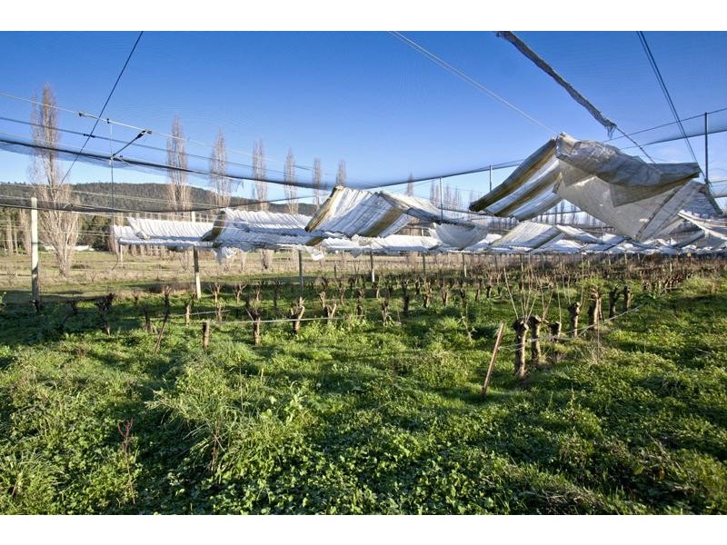 33 Smiths Road, Huonville TAS 7109