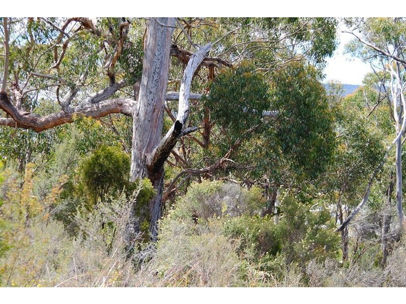 Lot 7/224 Kingfish Beach Road, Southport TAS 7109