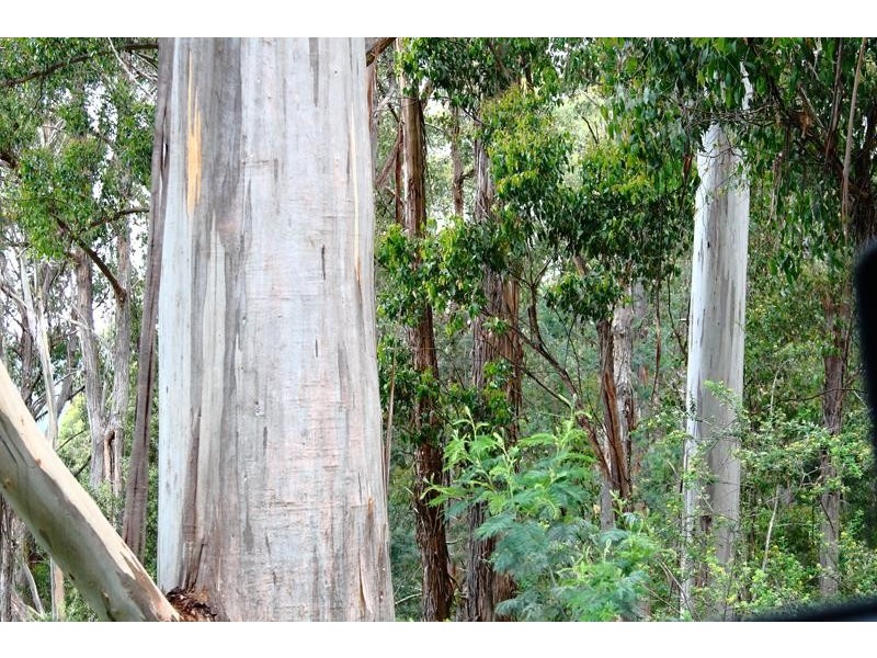 104 Jacksons Road, Franklin TAS 7113