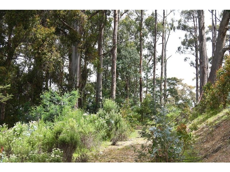 104 Jacksons Road, Franklin TAS 7113