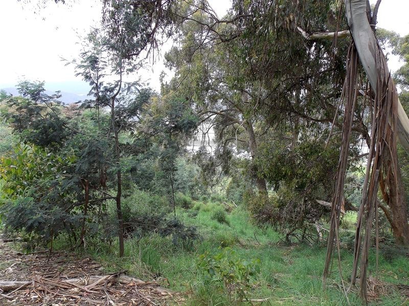 104 Jacksons Road, Franklin TAS 7113