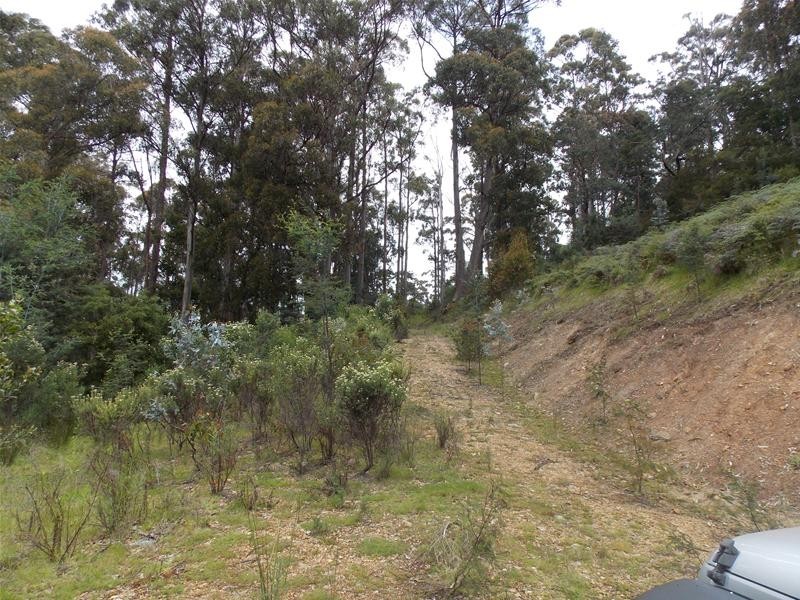 104 Jacksons Road, Franklin TAS 7113