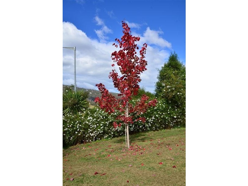 10 Wellington Street, Huonville TAS 7109