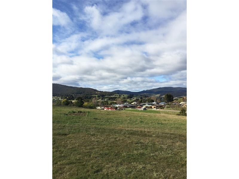 Lot 22 Silver Hill Road, Cygnet TAS 7112