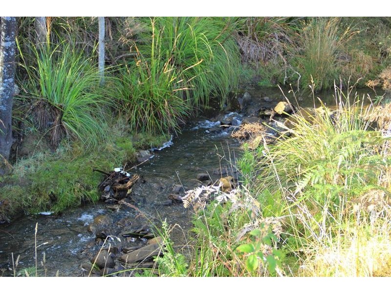 1 Turn Creek Road, Grove TAS 7109