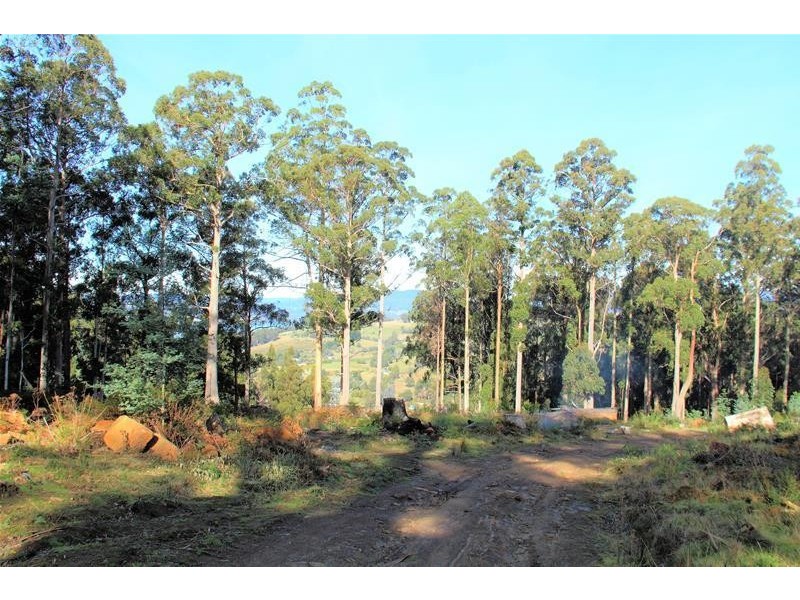 Lot/4 Lloyds Road, Franklin TAS 7113
