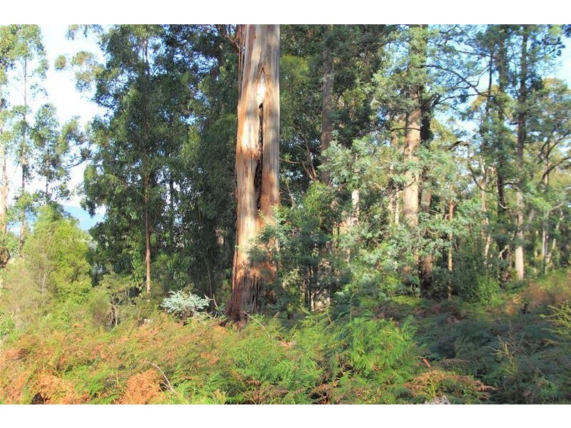 Lot/4 Lloyds Road, Franklin TAS 7113