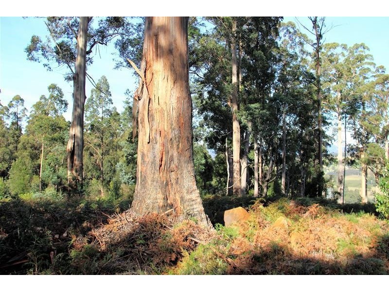 Lot/4 Lloyds Road, Franklin TAS 7113