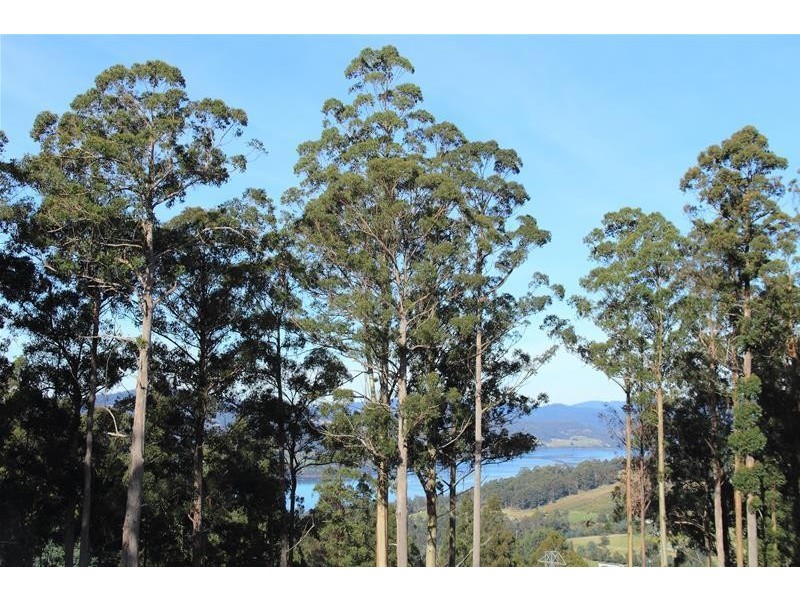 Lot/4 Lloyds Road, Franklin TAS 7113