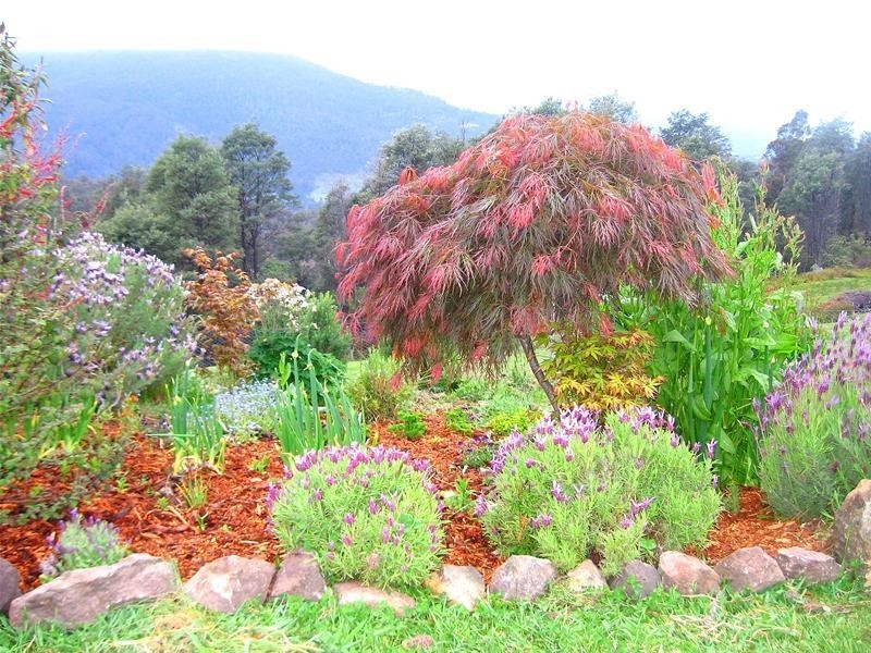 410 Cloverside Road, Lucaston TAS 7109